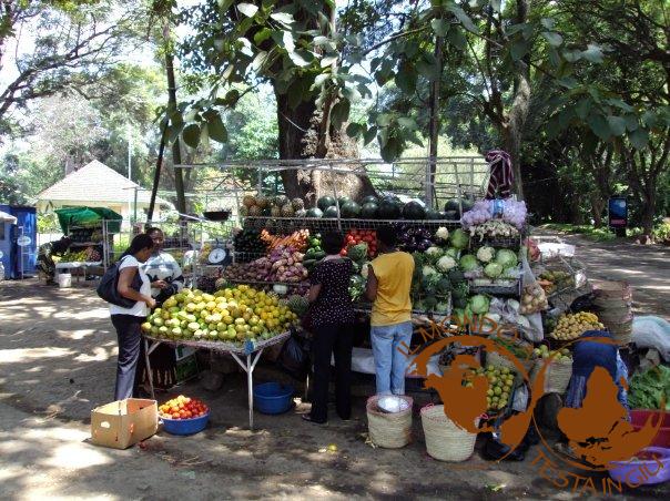 Arusha fruit market