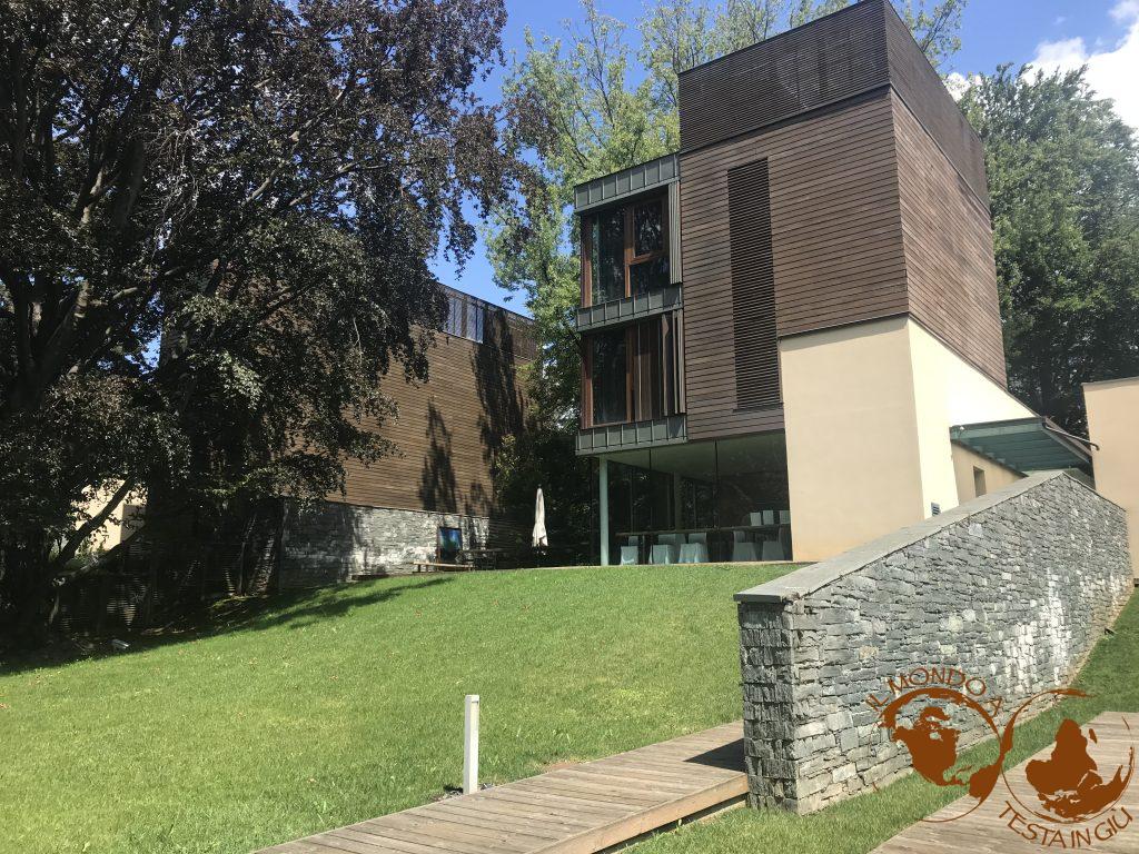 La Casa sull'Albero legno e vetro