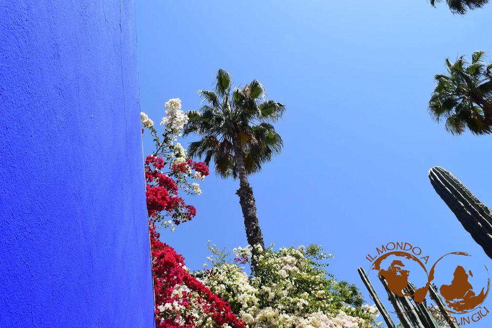 Marrakech. Blu Majorelle e cielo blu