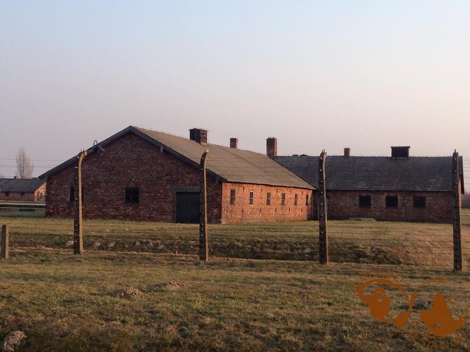 Edifici di Auschwitz