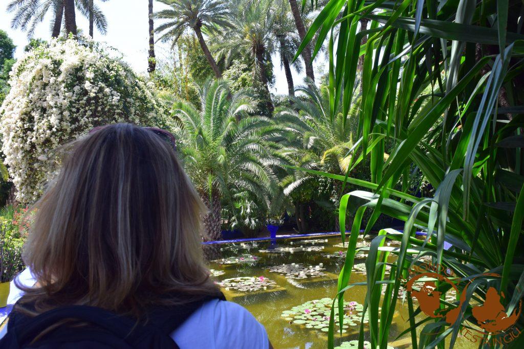I giardini Majorelle