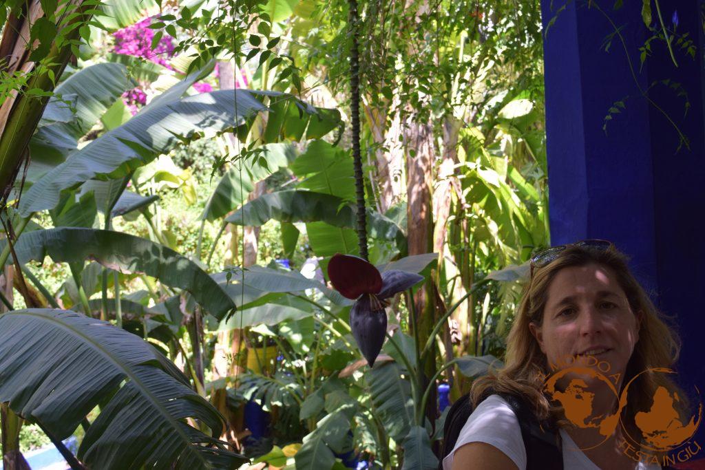 Marrakech. Blu Majorelle e i giardini