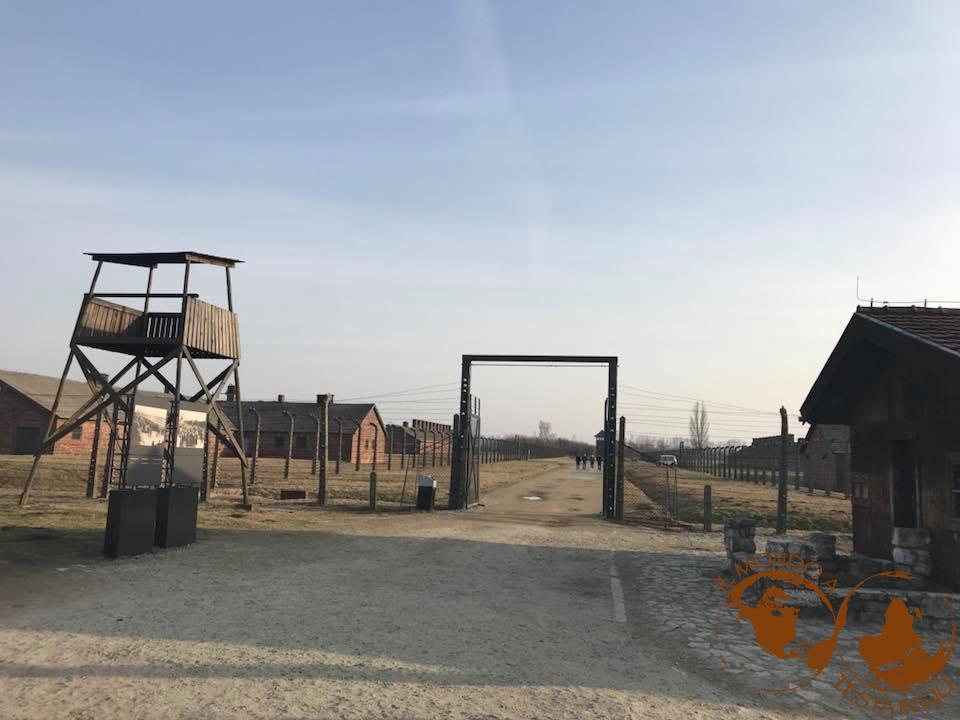 Il campo di Auschwitz