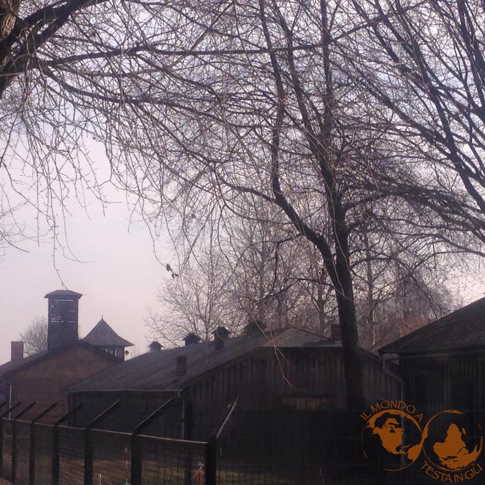 Auschwitz