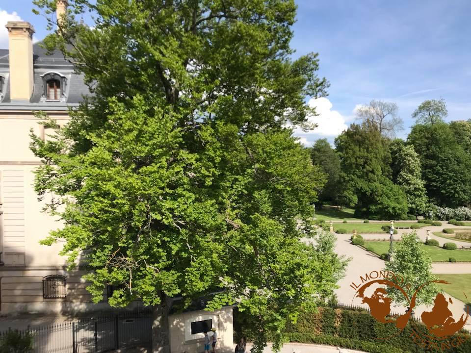 Castello e parco dei Fürstenberg a Donaueschingen