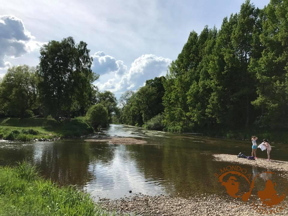 Il punto dove Breg e Brigach si incontrano. La nascita del Danubio