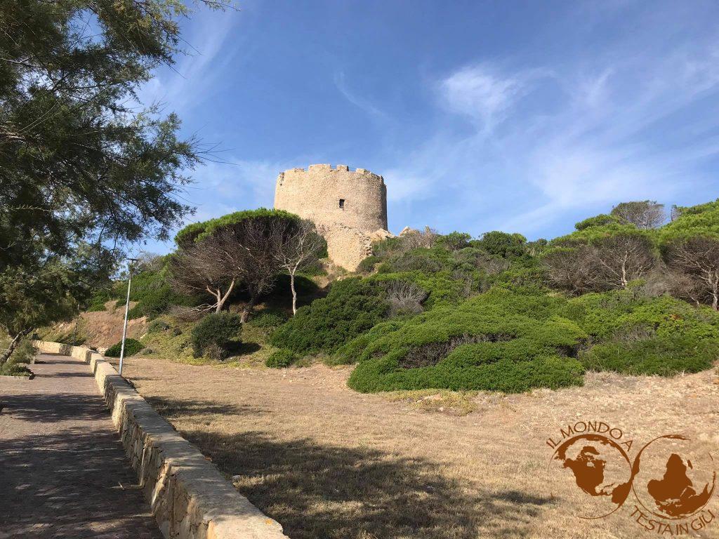La torre circondata dalla vegetazione mediterranea