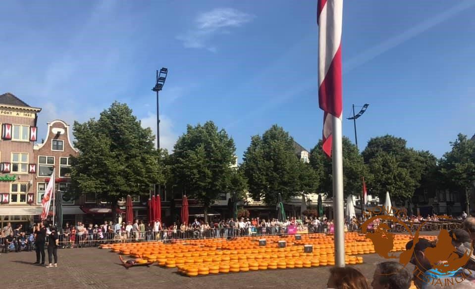 Il mercato di Alkmaar e le forme di formaggio