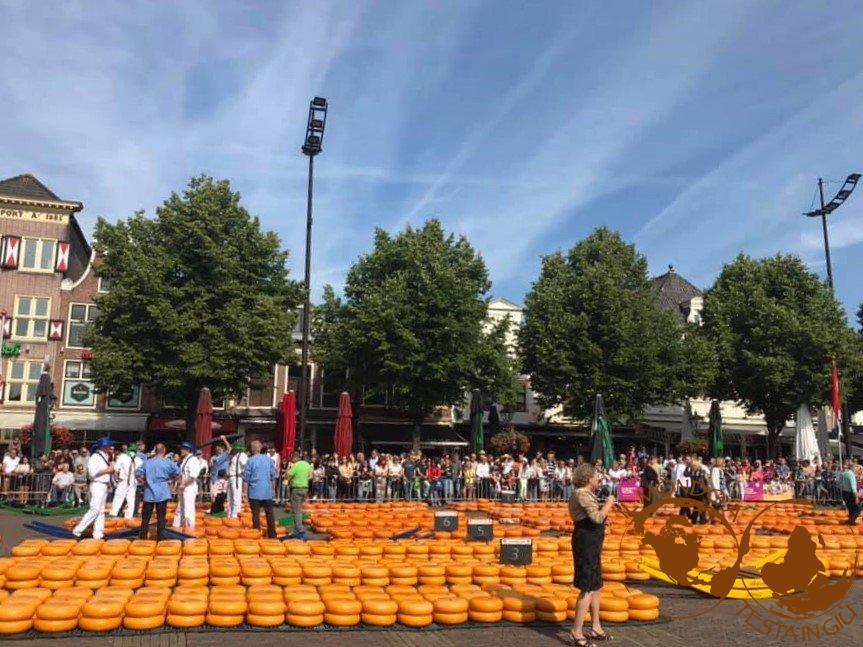Controllo e trattativa del formaggio