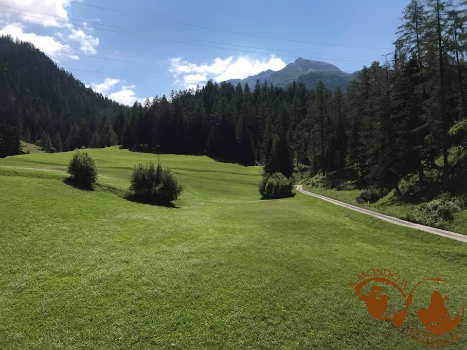 Panorami lungo la linea dell'Albula