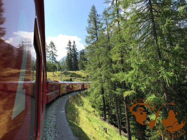 Il treno delll linea dell'Albula in viaggio
