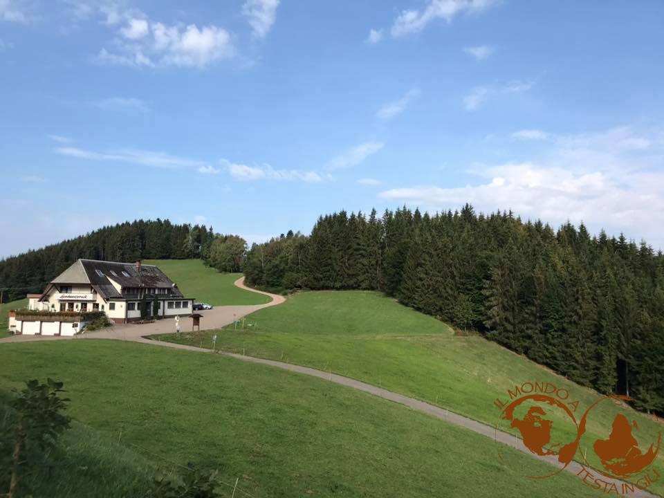 Moderna fattoria in Foresta Nera