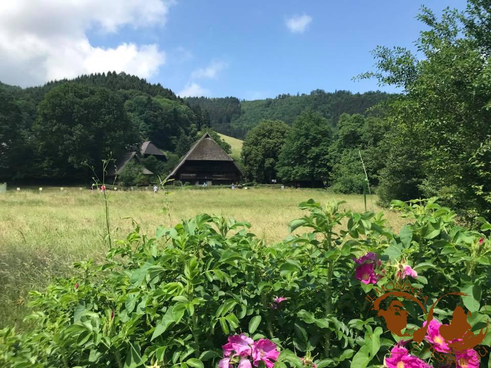 Un fattoria del museo della Foresta Nera di Vogtsbauernhof