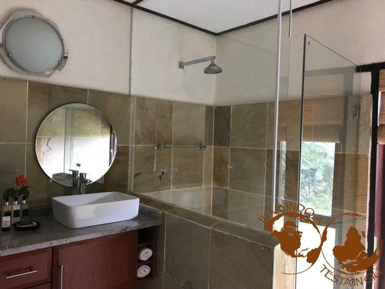 Bagno della camera Lion