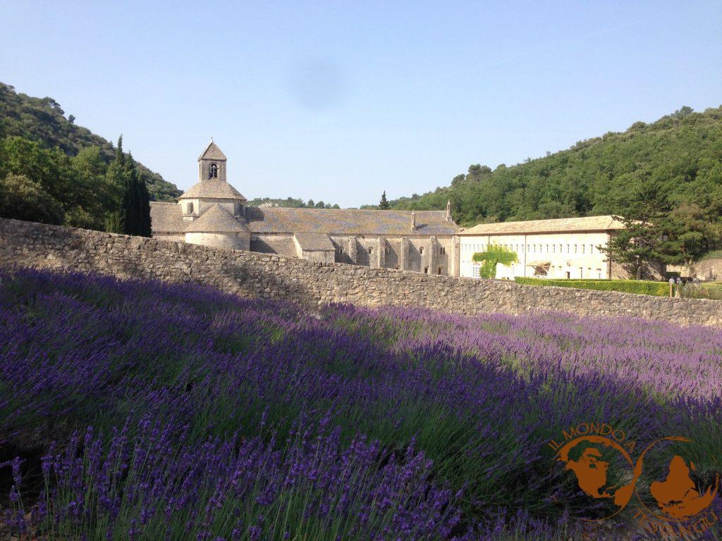 L'abbazia di Sénanque immersa nella lavanda