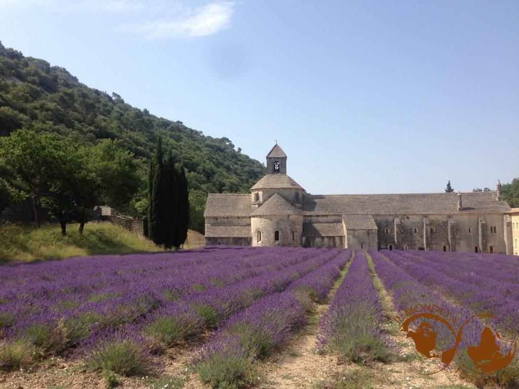 I colori di Sénanque