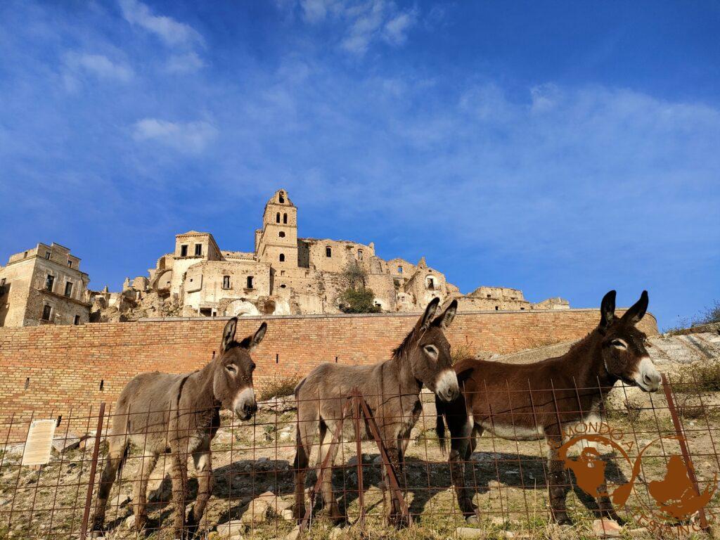 Gli abitanti di Craco oggi: asinelli