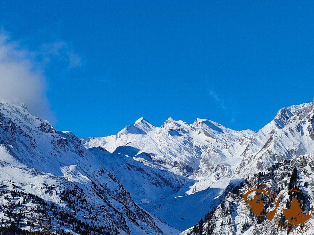 Alpi Retiche