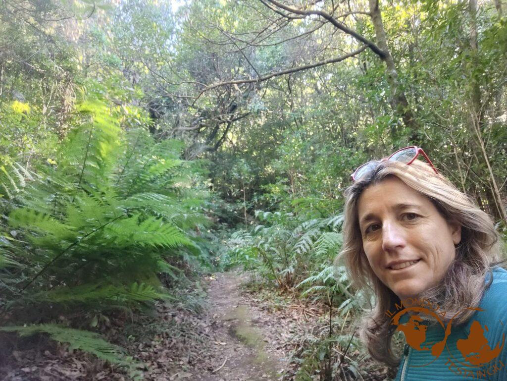 Trekking nel bosco di laurisilva