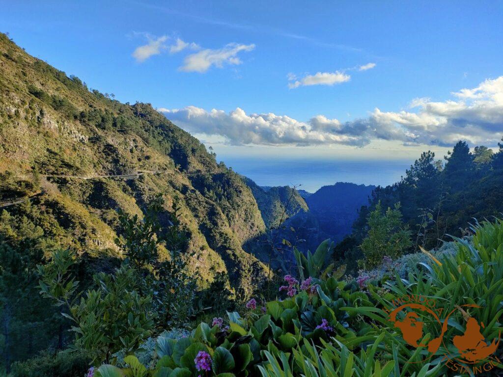 La meravigliosa natura di Madeira